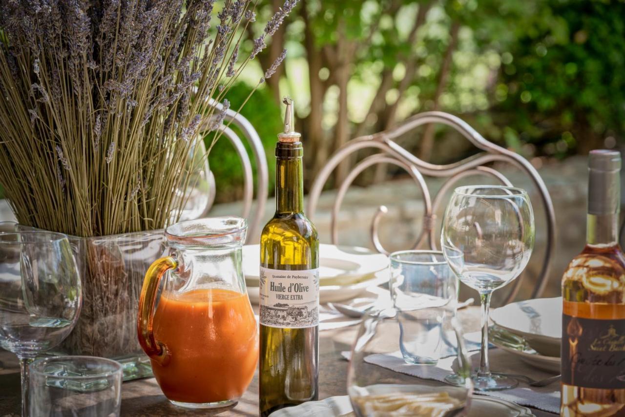 Domaine De Puybernier Villa Jouques Ngoại thất bức ảnh